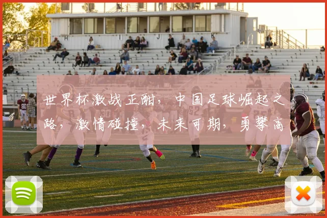 世界杯激战正酣，中国足球崛起之路，激情碰撞，未来可期，勇攀高峰，再创辉煌