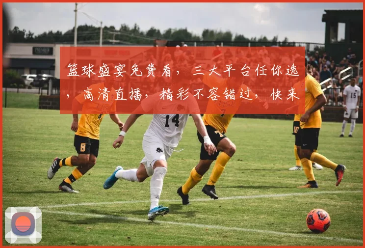 篮球盛宴免费看，三大平台任你选，高清直播，精彩不容错过，快来加入我们