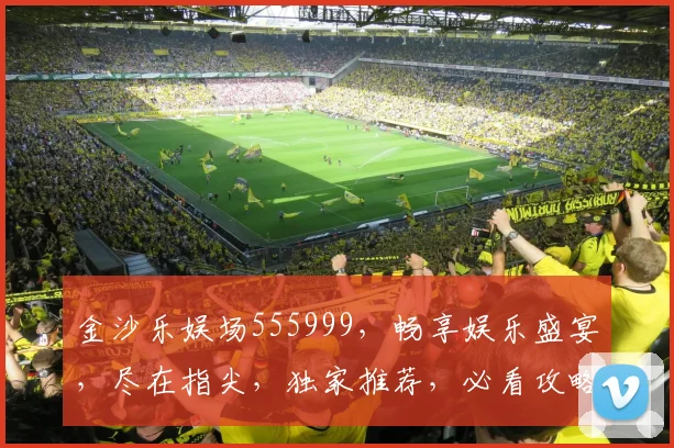 金沙乐娱场555999，畅享娱乐盛宴，尽在指尖，独家推荐，必看攻略
